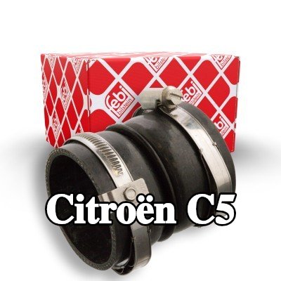 FEBI BILSTEIN خرطوم سحب الشاحن الوسط, غلاف صمام الخانق, مع مشابك — 2004 Citroën C5
