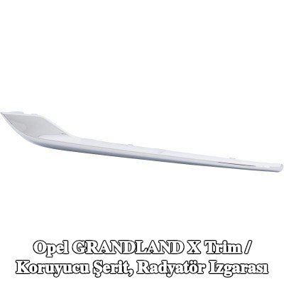 DIEDERICHS Trim / koruyucu şerit, radyatör ızgarası Sağ — Opel Grandland X