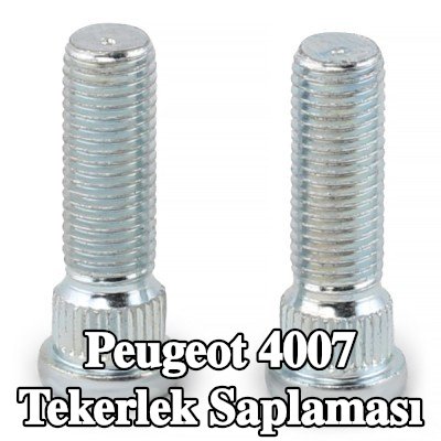 FEBI BILSTEIN Tekerlek Saplaması — Peugeot 4007