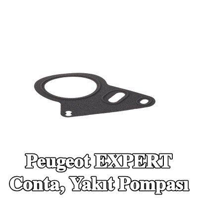 CITROEN/PEUGEOT Conta, yakıt pompası Yakıt dağıtıcısına yüksek basınç pompası — Peugeot Expert