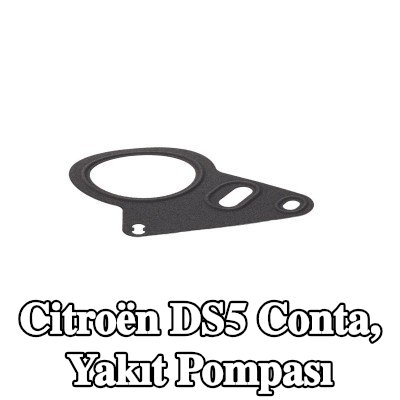 CITROEN/PEUGEOT Conta, yakıt pompası Yakıt dağıtıcısına yüksek basınç pompası — Citroën Ds5