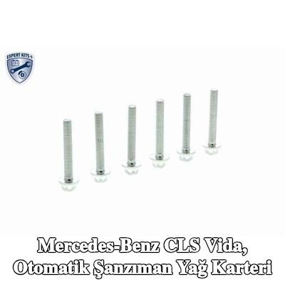 VAICO Vida, otomatik şanzıman yağ tepsisi EXPERT KITS + — 2004 Mercedes-Benz Cls