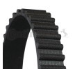 CONTITECH Triger Kayışı Diş Sayısı: 107 — SEAT Terra (4)