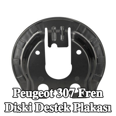 FEBI BILSTEIN Fren diski destek plakası Arka Aks Sol, Arka Aks Sağ — Peugeot 307