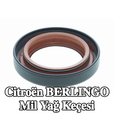 VAICO Mil Yağ Keçesi — Citroën Berlingo