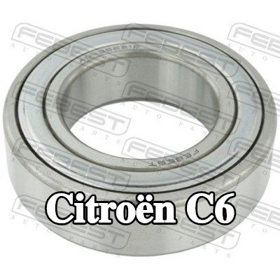 FEBEST محمل، عمود الإدارة — Citroën C6