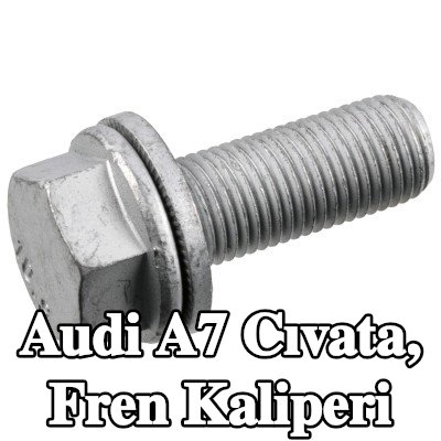 FEBI BILSTEIN Cıvata, fren kaliperi — Audi A7