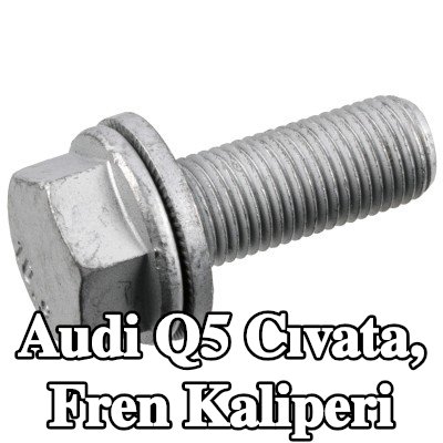 FEBI BILSTEIN Cıvata, fren kaliperi — Audi Q5