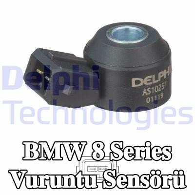 DELPHI Vuruntu Sensörü — 2018 BMW 8 Series