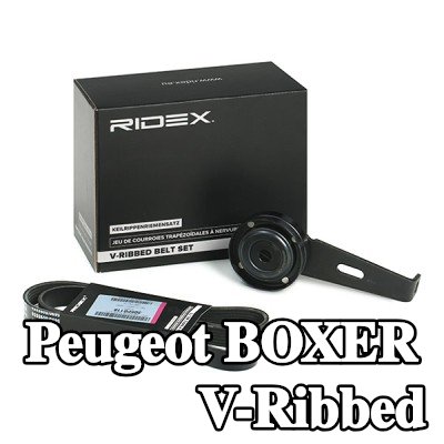 RIDEX مجموعة أحزمة V-Ribbed — 2000 Peugeot Boxer