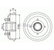 BOSCH Arka aks fren kampanası, 216mm, tekerlek yatağı ile — Ford Puma (2)