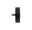 KAVO PARTS Saptırma / kılavuz kasnağı, V-ribbed belt Outer Diameter: 76mm — Kia K2900 (4)