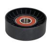 BTA Saptırma / kılavuz kasnağı, V-ribbed belt Outer Diameter: 76mm, Ø: 17mm — Chevrolet S10 (1)