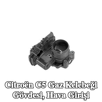 VDO Gaz kelebeği gövdesi, contalı hava girişi — Citroën C5