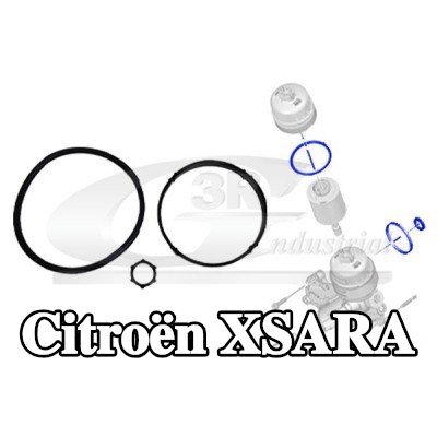 3RG حشية، فلتر الزيت — Citroën Xsara