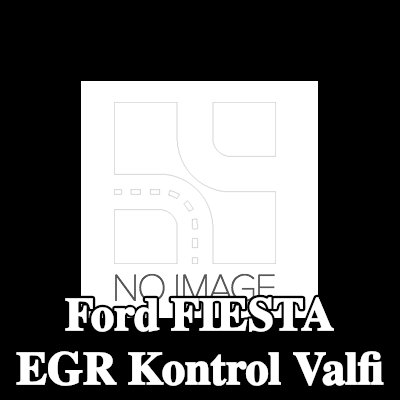 METZGER EGR kontrol valfi — 2002 Ford Fiesta