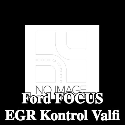 METZGER EGR kontrol valfi — 2000 Ford Focus