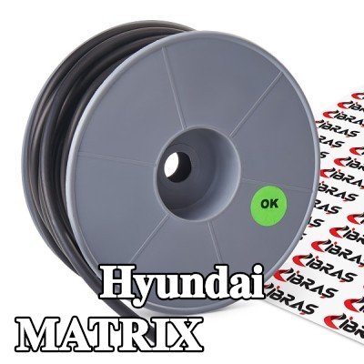 IBRAS خرطوم الوقود — Hyundai Matrix