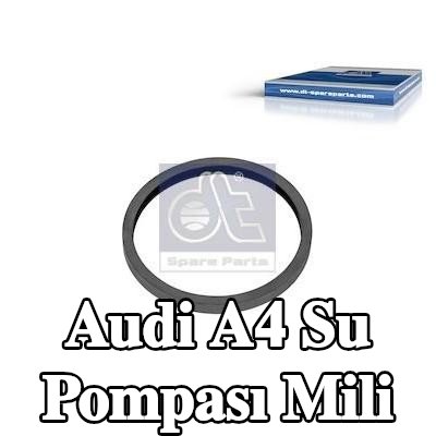 DT Spare Parts Su Pompası Mili — Audi A4
