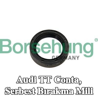 Borsehung Conta, serbest bırakma mili — Audi Tt