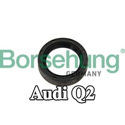 Borsehung حشية، عمود التحرير — Audi Q2