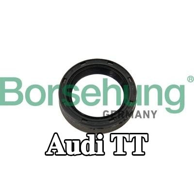 Borsehung حشية، عمود التحرير — Audi Tt