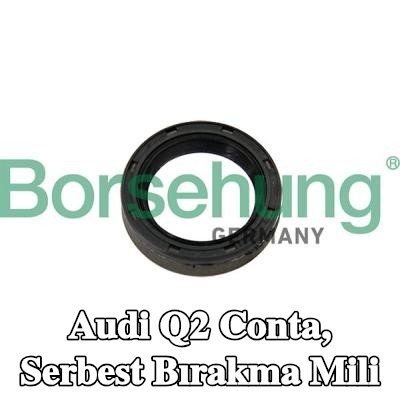 Borsehung Conta, serbest bırakma mili — Audi Q2