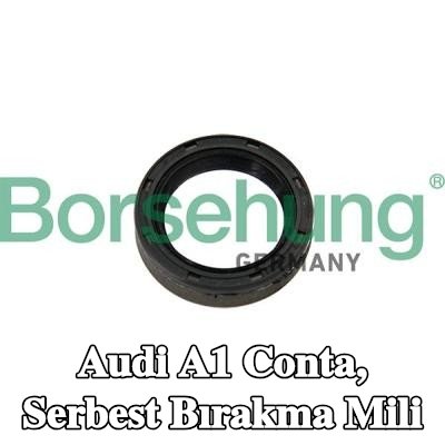 Borsehung Conta, serbest bırakma mili — Audi A1