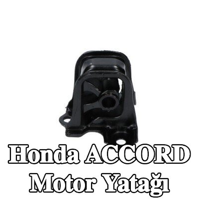 KAVO PARTS Motor yatağı Ön — 2000 Honda Accord