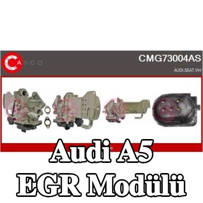 CASCO EGR Modülü — 2007 Audi A5