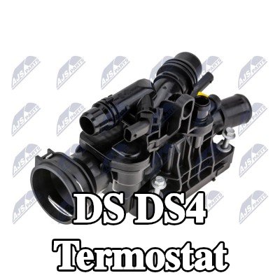 NTY Termostat — DS Ds4