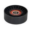 BTA Saptırma / kılavuz kasnağı, V-ribbed belt Outer Diameter: 76mm, Ø: 17mm — Chevrolet S10 (2)