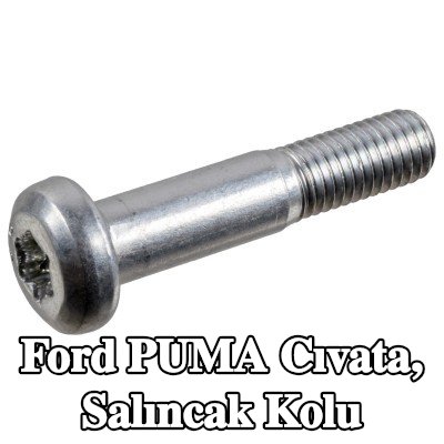 FEBI BILSTEIN Cıvata, salıncak kolu — Ford Puma