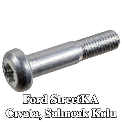 FEBI BILSTEIN Cıvata, salıncak kolu — Ford StreetKA