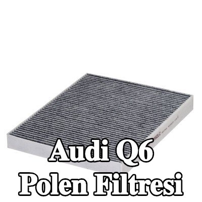 HENGST FILTER Polen filtresi Aktif Karbon Filtresi — Audi Q6