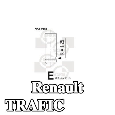 BGA صمام العادم — 1992 Renault Trafic