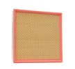 RIDEX PLUS Filtre kiti — Opel Cascada (3)