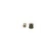 BOSCH Onarım Kiti, common rail sistemi — Chevrolet Silverado (2)