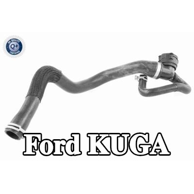 VAICO خرطوم المبرد — 2014 Ford Kuga