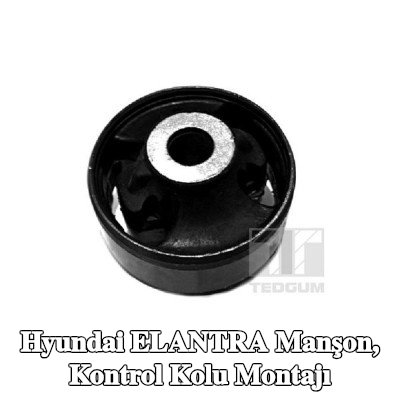 TEDGUM Manşon, kontrol kolu montajı — Hyundai Elantra