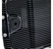 RIDEX Contalı/sızdırmazlık elemanlı otomatik şanzıman yağ karteri, conta/sızdırmazlık elemanları ile, cıvatalar ile, cıvata/vida ile — Land Rover Freelander (4)