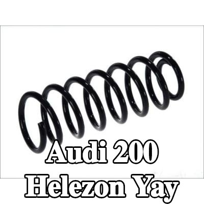 Magnum Technology Helezon yay Arka Aks — Audi 200