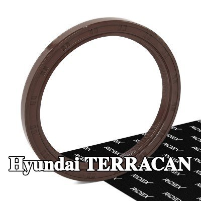 RIDEX حشية زيت العمود — Hyundai Terracan