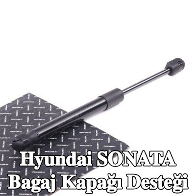 RIDEX Bagaj kapağı destek kolu Arka, 300mm — 2000 Hyundai Sonata