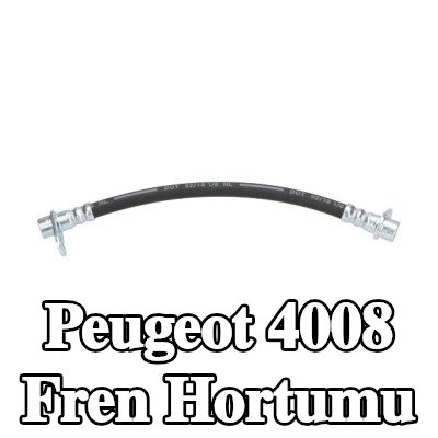 KAVO PARTS Fren hortumu Arka Aks Sol, 255mm — Peugeot 4008