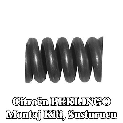 WALKER Montaj Kiti, susturucu — 2002 Citroën Berlingo