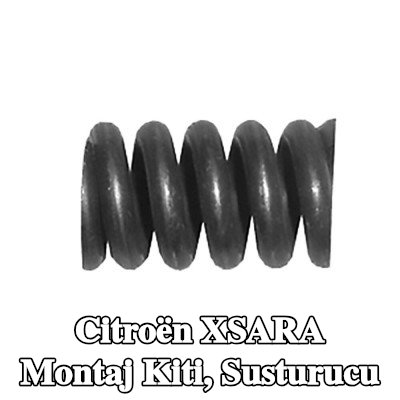 WALKER Montaj Kiti, susturucu — 2002 Citroën Xsara