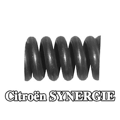 WALKER طقم التثبيت، كاتم الصوت — Citroën Synergie
