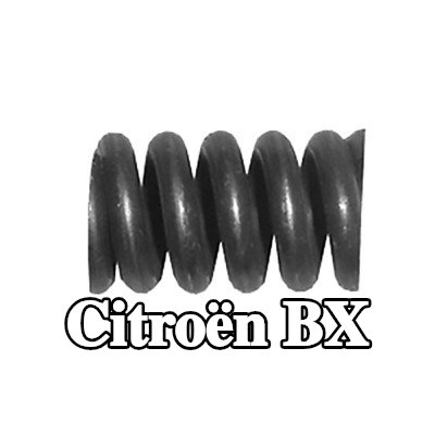 WALKER طقم التثبيت، كاتم الصوت — Citroën Bx