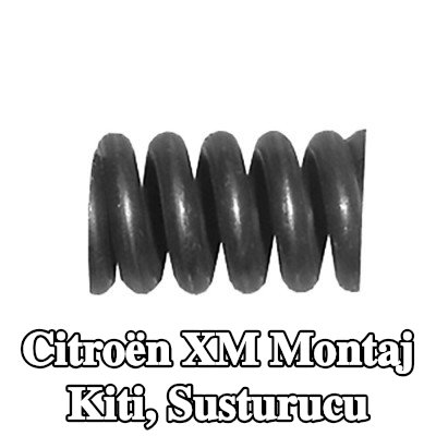 WALKER Montaj Kiti, susturucu — Citroën Xm